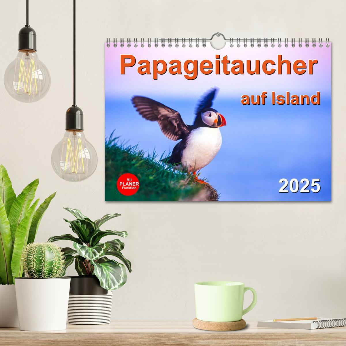 Bild: 9783435064489 | Papageitaucher auf Island (Wandkalender 2025 DIN A4 quer), CALVENDO...