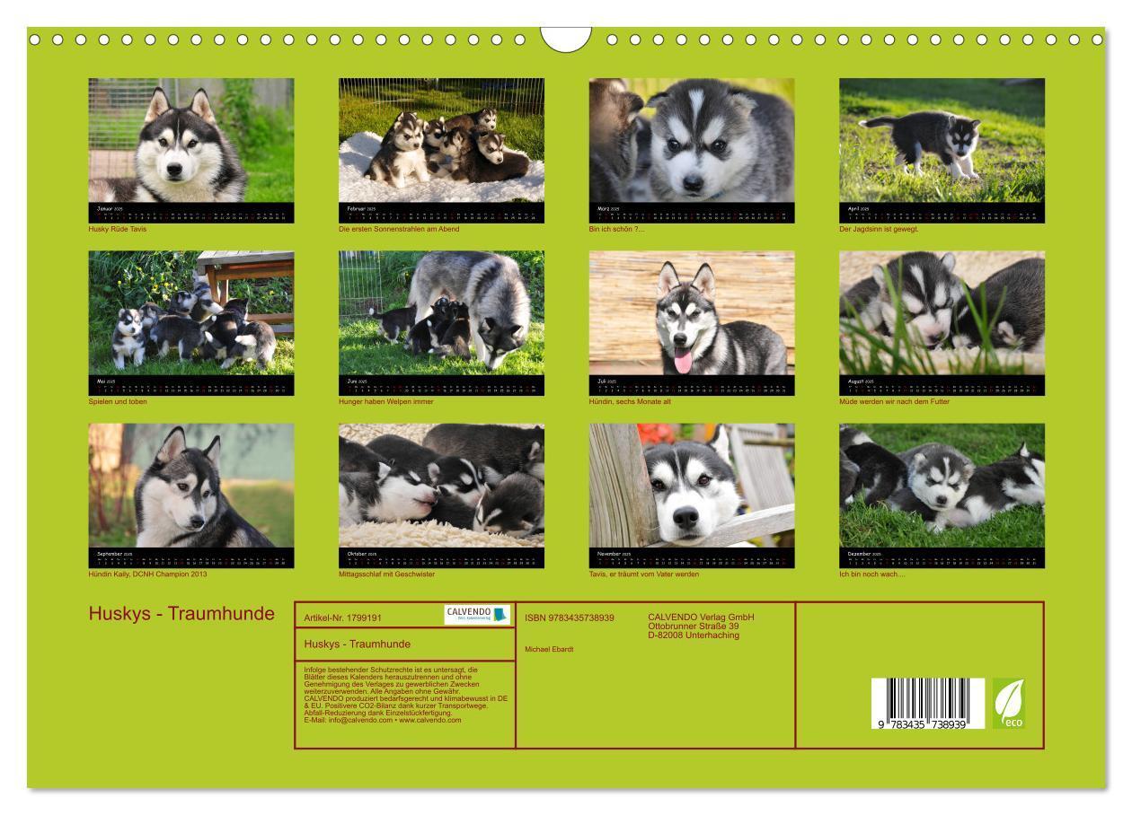 Bild: 9783435738939 | Huskys - Traumhunde (Wandkalender 2025 DIN A3 quer), CALVENDO...