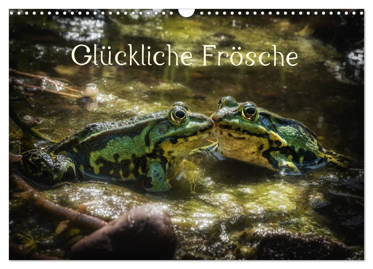 Cover: 9783435325061 | Glückliche Frösche (Wandkalender 2025 DIN A3 quer), CALVENDO...