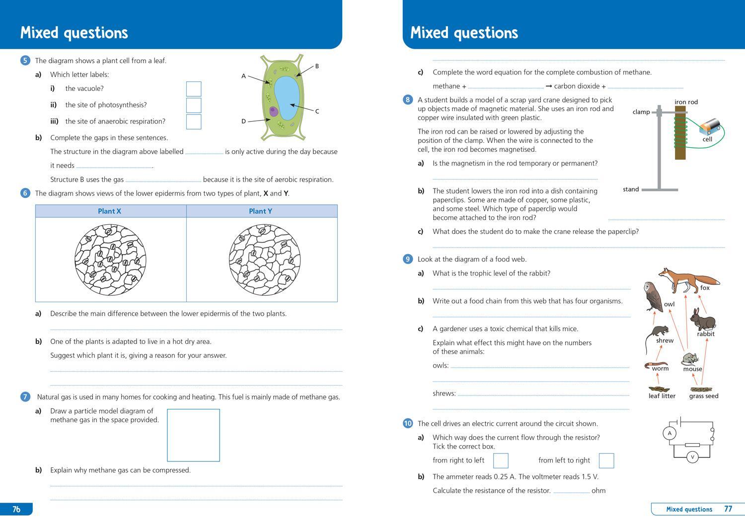 Bild: 9780008598686 | KS3 Science Year 8: Organise and retrieve your knowledge | Collins KS3