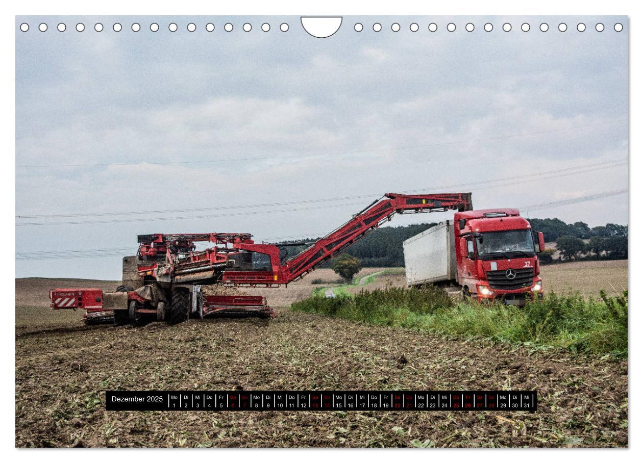 Bild: 9783435240067 | Landwirtschaft - Von der Saat bis zur Ernte (Wandkalender 2025 DIN...