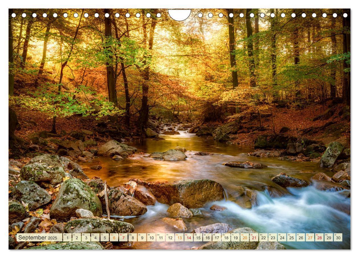 Bild: 9783435084326 | Traumwege entdecken (Wandkalender 2025 DIN A4 quer), CALVENDO...