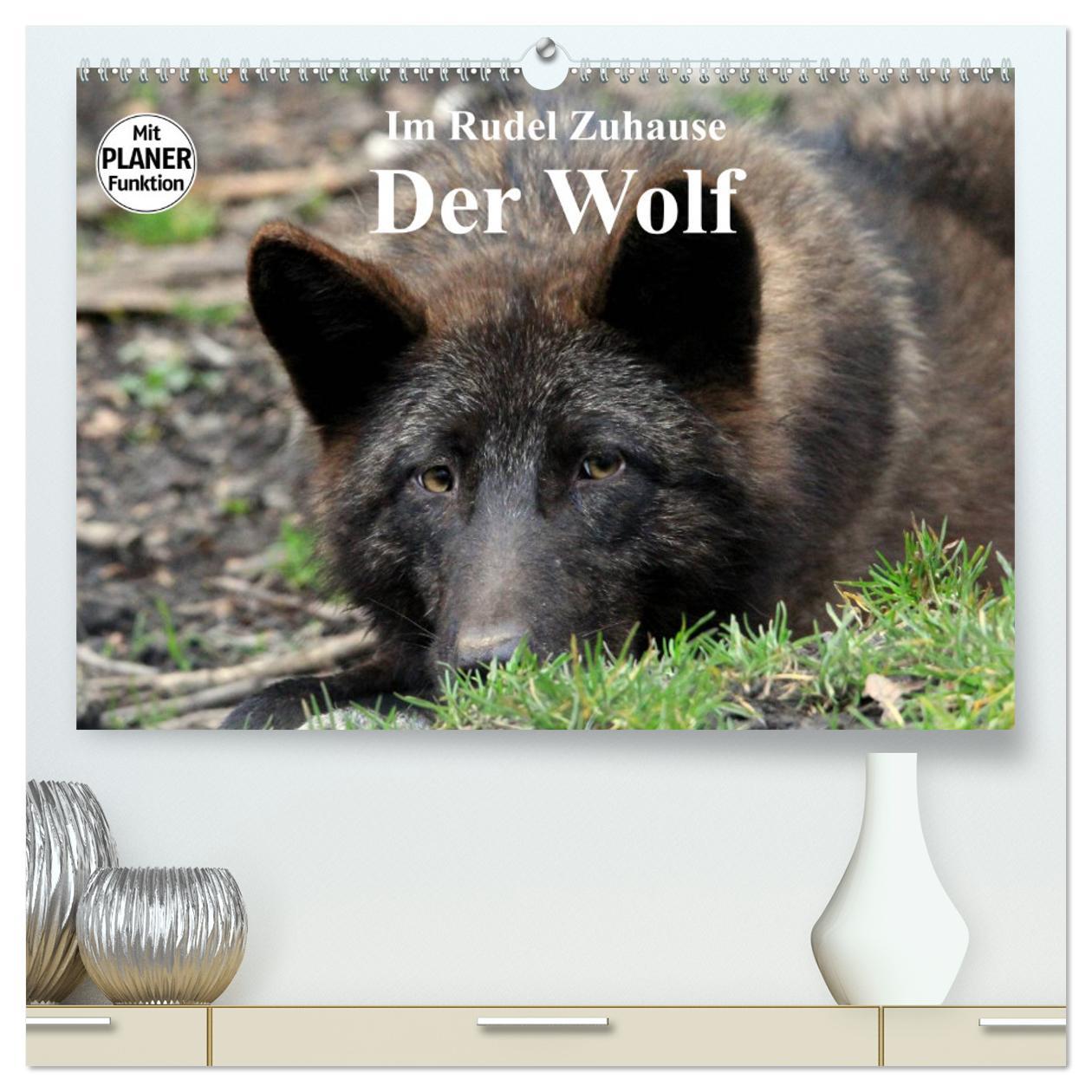 Cover: 9783435471409 | Im Rudel Zuhause - Der Wolf (hochwertiger Premium Wandkalender 2025...