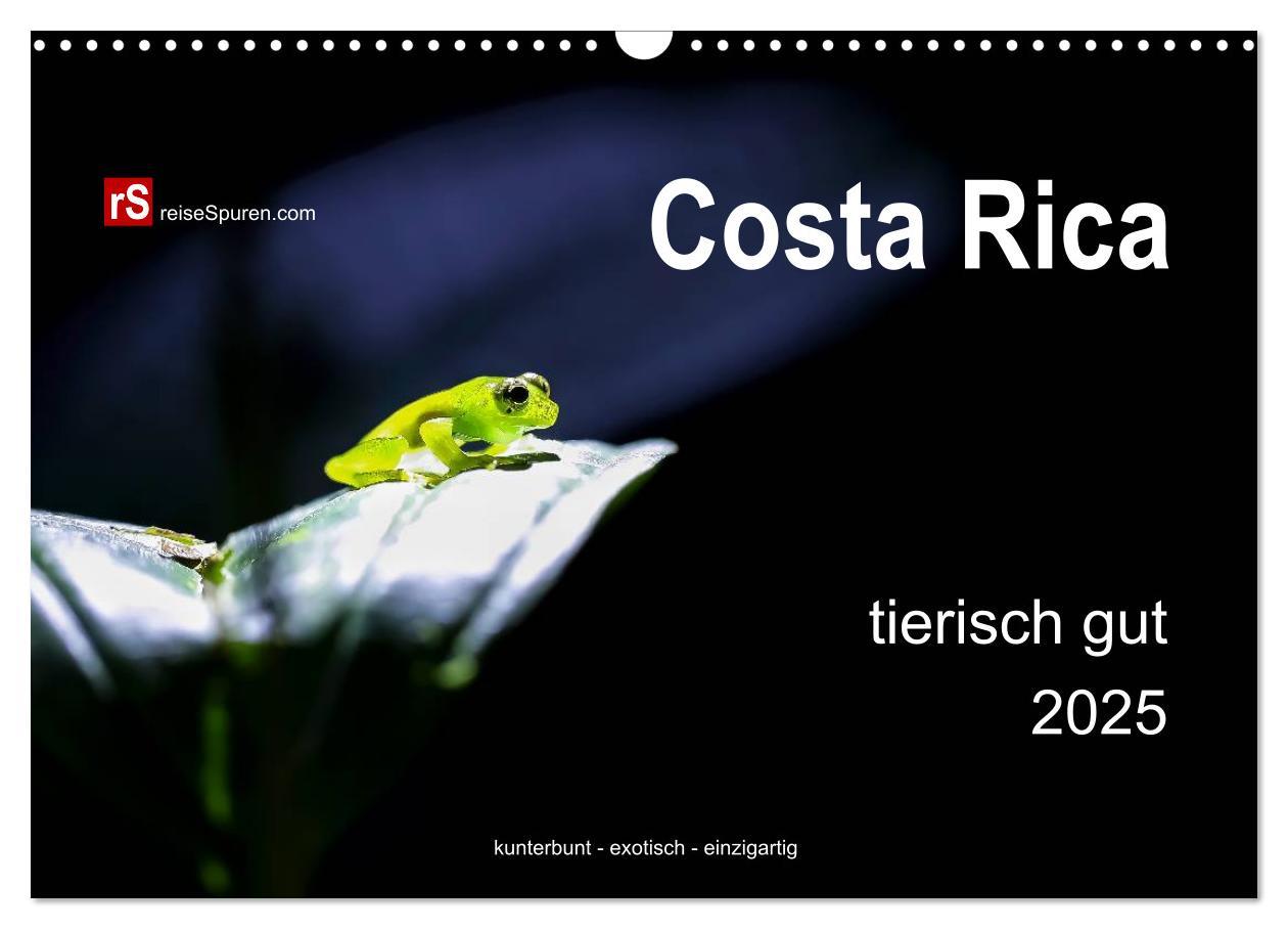 Cover: 9783435728053 | Costa Rica tierisch gut 2025 (Wandkalender 2025 DIN A3 quer),...