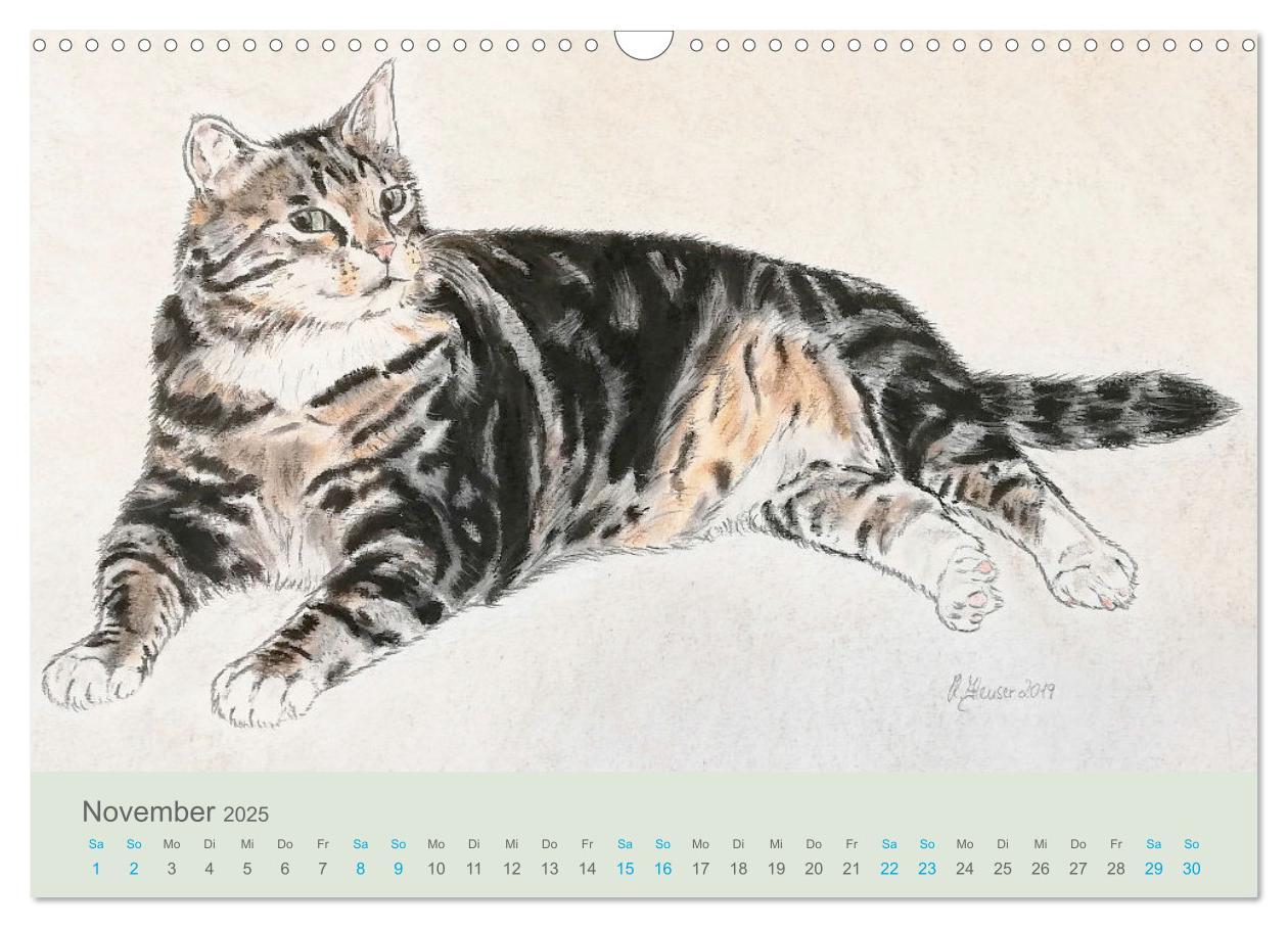 Bild: 9783435097487 | KATZEN PortraiTierART (Wandkalender 2025 DIN A3 quer), CALVENDO...