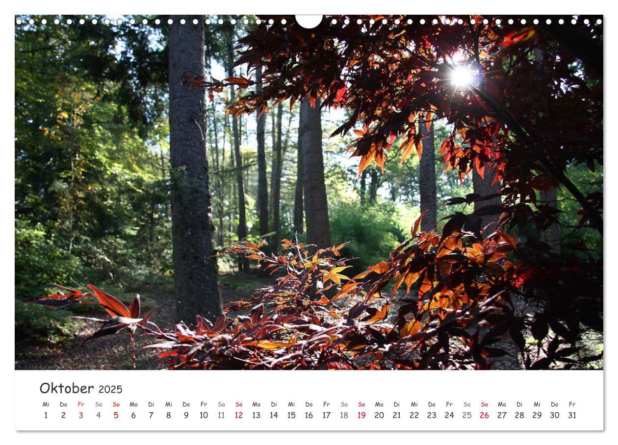 Bild: 9783435078431 | Zauberhaftes Ammerland (Wandkalender 2025 DIN A3 quer), CALVENDO...