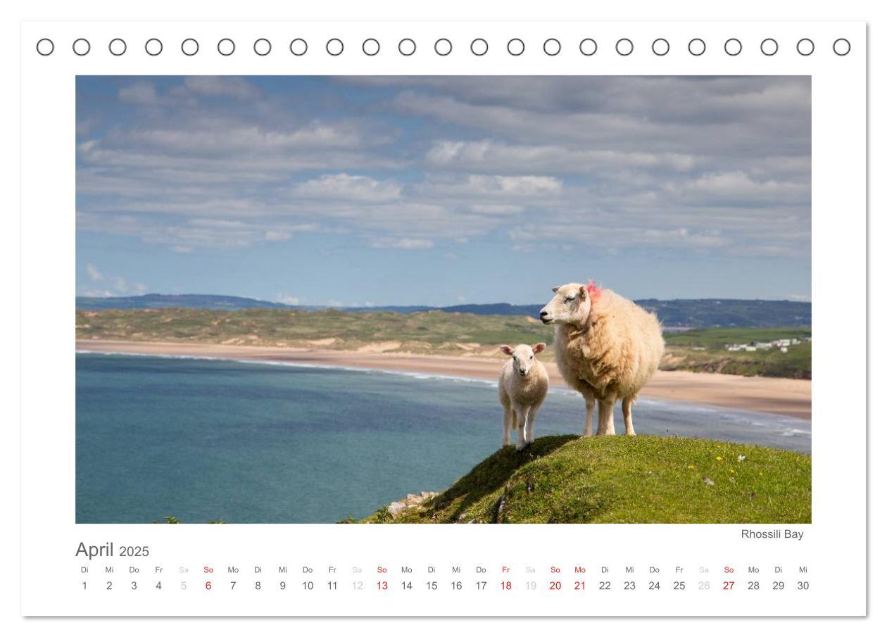 Bild: 9783435765782 | Eine Reise durch Wales (Tischkalender 2025 DIN A5 quer), CALVENDO...