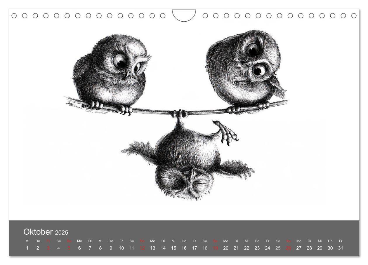 Bild: 9783435825158 | owls &amp; friends 2025 (Wandkalender 2025 DIN A4 quer), CALVENDO...