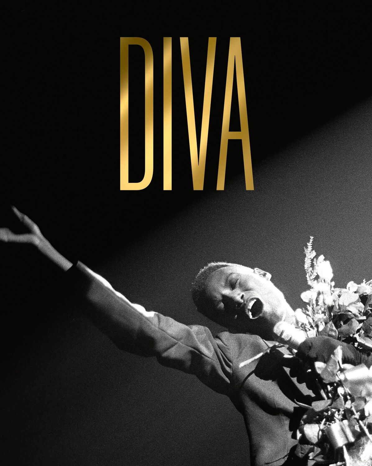 Cover: 9781838510350 | Diva | Kate Bailey | Buch | Hardback | 192 S. | Englisch | 2023