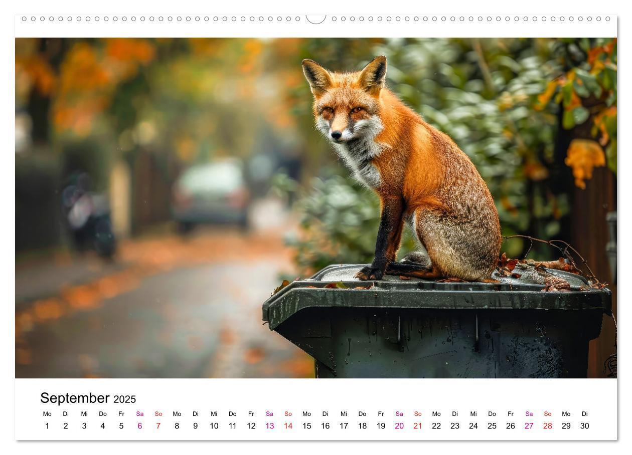 Bild: 9783383815225 | Fuchs - schöne Momente (Wandkalender 2025 DIN A2 quer), CALVENDO...