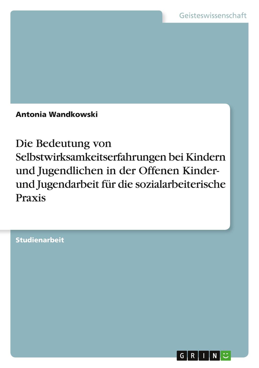 Cover: 9783346578754 | Die Bedeutung von Selbstwirksamkeitserfahrungen bei Kindern und...