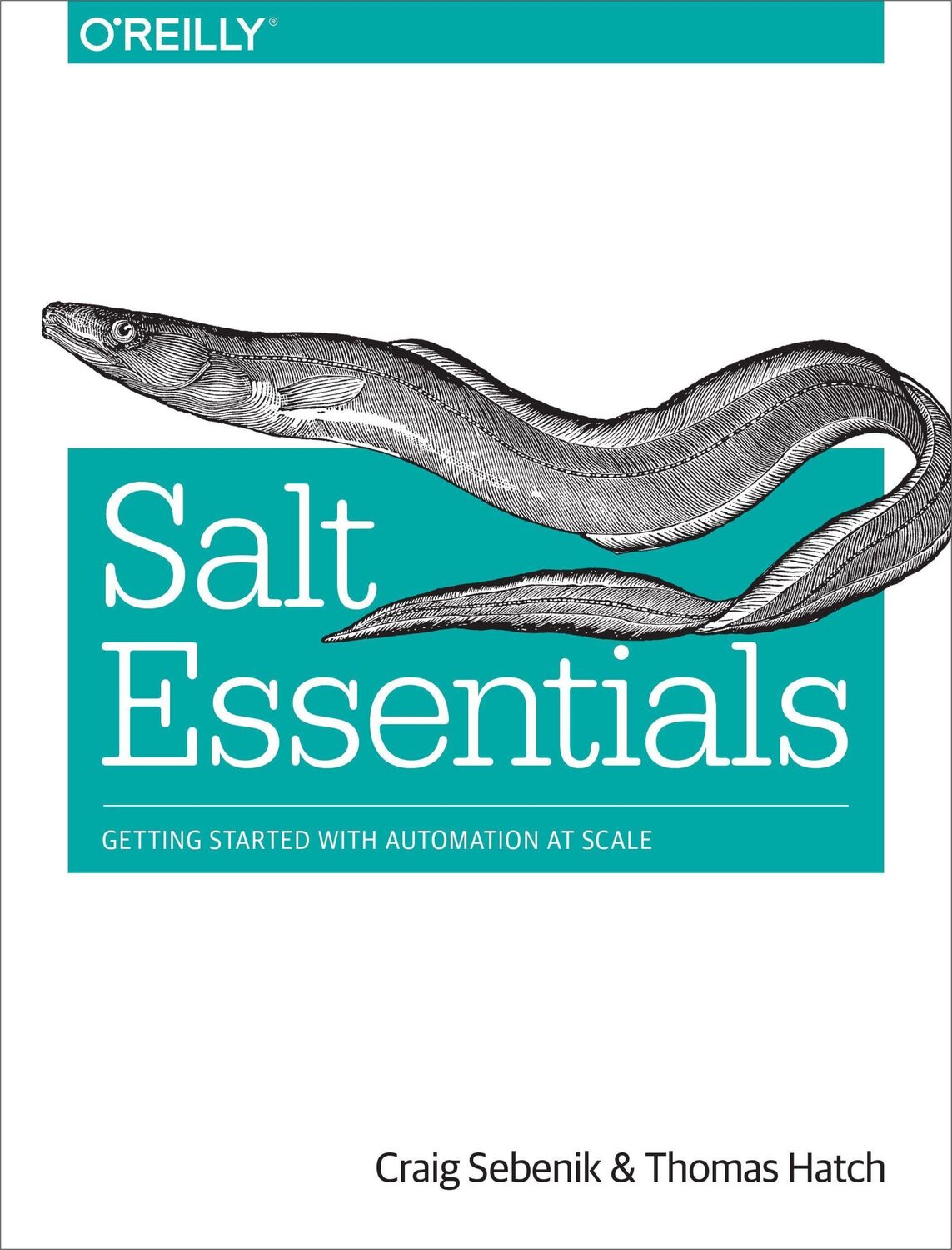 Cover: 9781491900635 | Salt Essentials | Getting Started with Automation at Scale | Buch