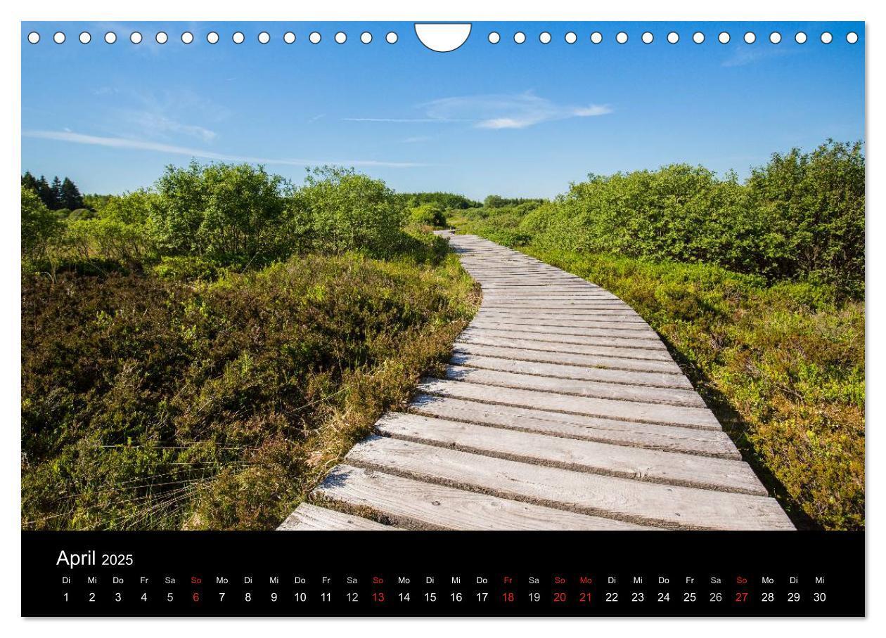 Bild: 9783435558087 | HOHES VENN - Einblicke in ein Hochmoor (Wandkalender 2025 DIN A4...