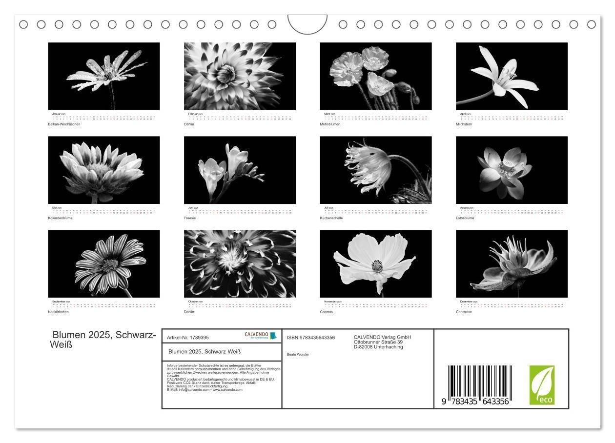 Bild: 9783435643356 | Blumen 2025, Schwarz-Weiß (Wandkalender 2025 DIN A4 quer), CALVENDO...