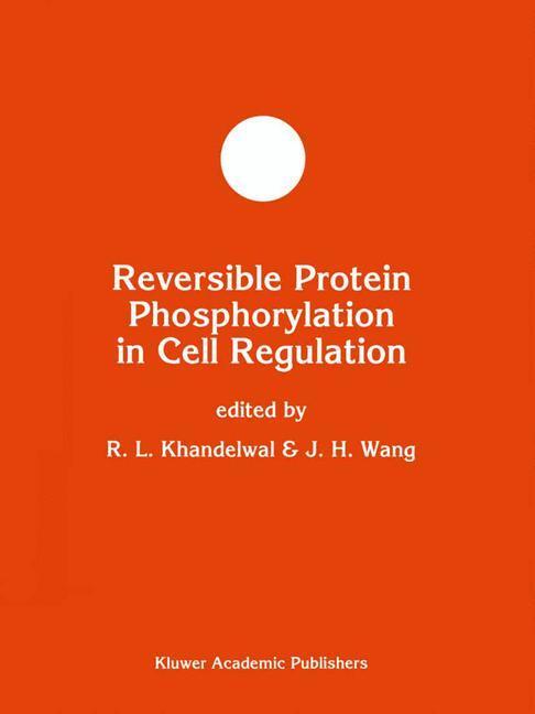 Cover: 9783540563532 | Theorie der neuronalen Netze | Eine systematische Einführung | Rojas