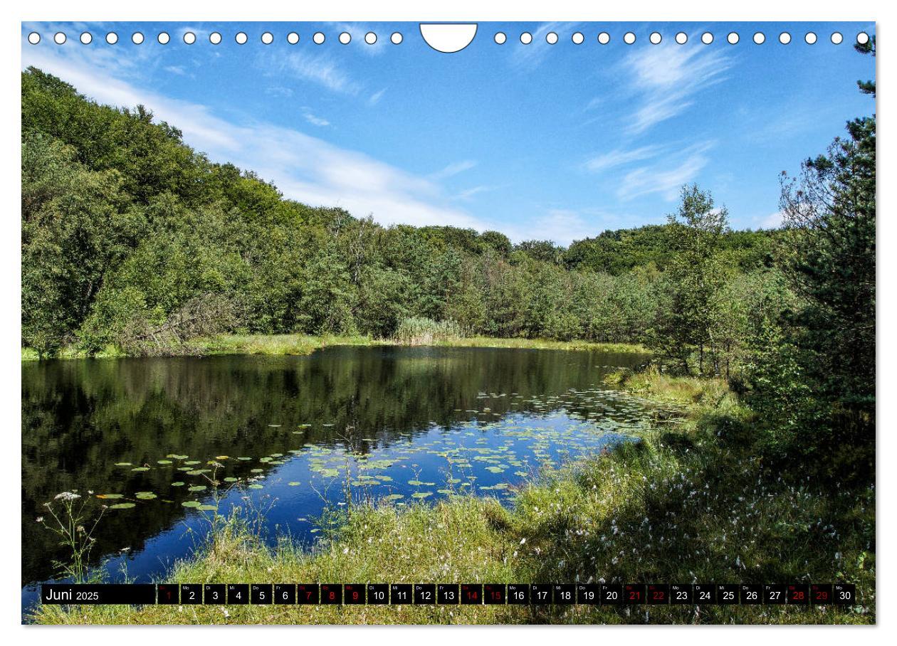 Bild: 9783435440504 | Das idyllische Usedom (Wandkalender 2025 DIN A4 quer), CALVENDO...