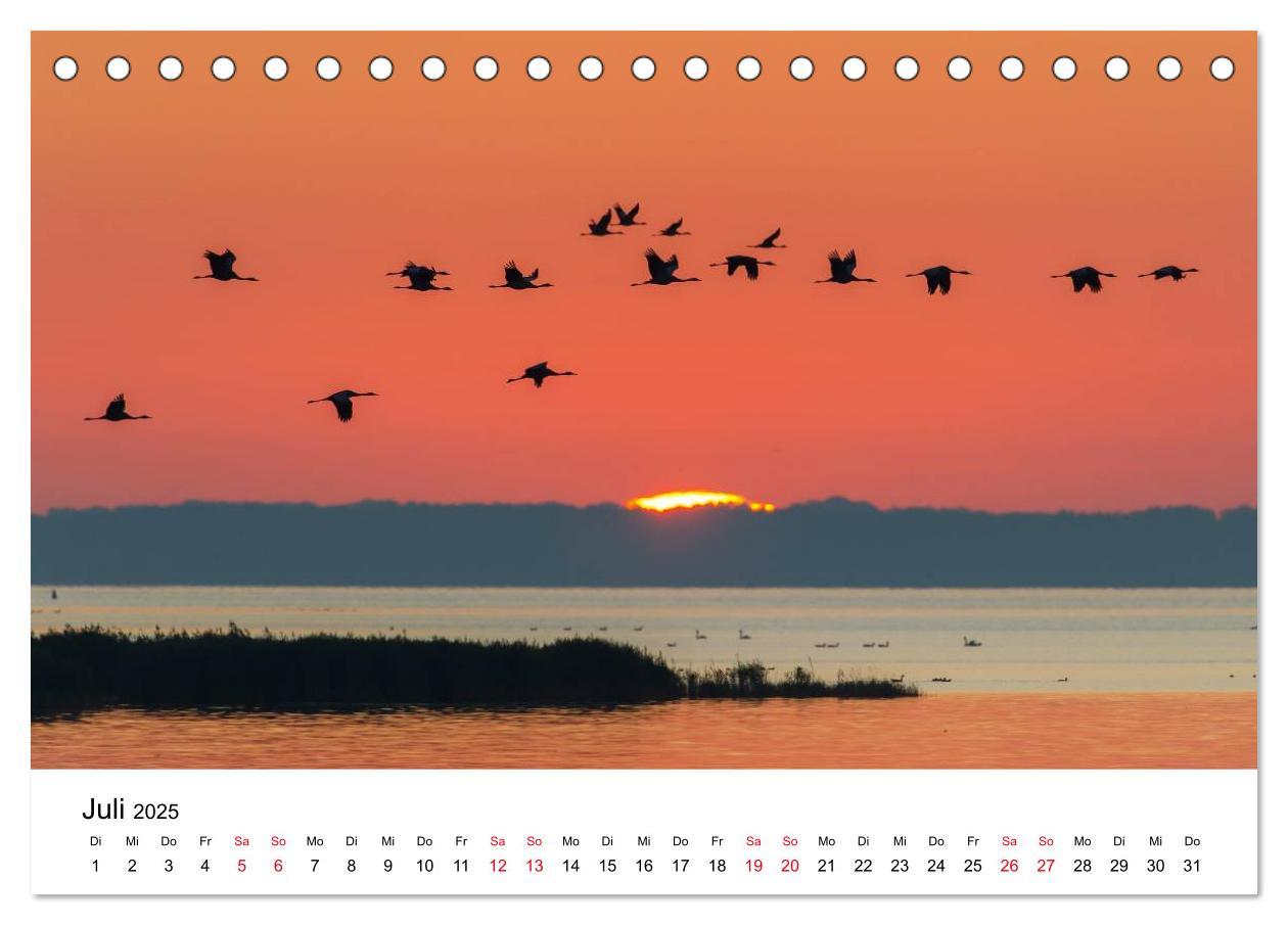 Bild: 9783435603022 | Zug der Kraniche (Tischkalender 2025 DIN A5 quer), CALVENDO...