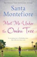 Cover: 9781471132124 | Meet Me Under the Ombu Tree | Santa Montefiore | Taschenbuch | 2014