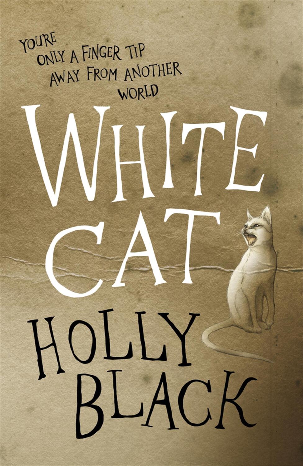 Cover: 9780575096721 | White Cat | Holly Black | Taschenbuch | Kartoniert / Broschiert | 2011