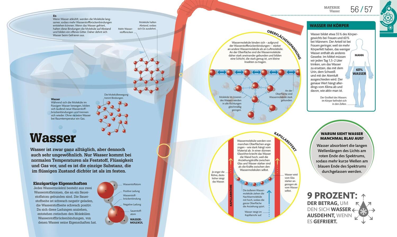 Bild: 9783831035397 | #dkinfografik. Naturwissenschaften | Derek Harvey (u. a.) | Buch