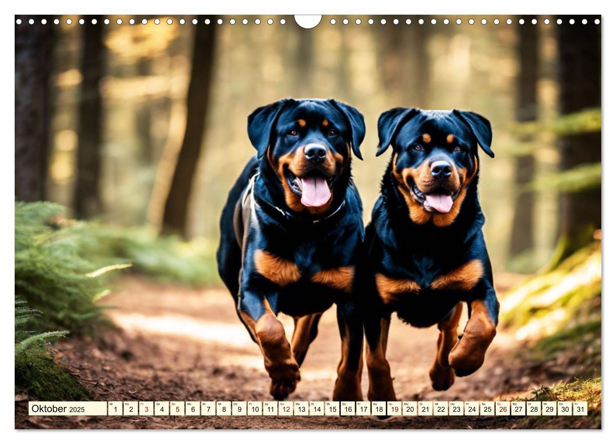 Bild: 9783457128688 | Rottweiler - die Beschützer (Wandkalender 2025 DIN A3 quer),...