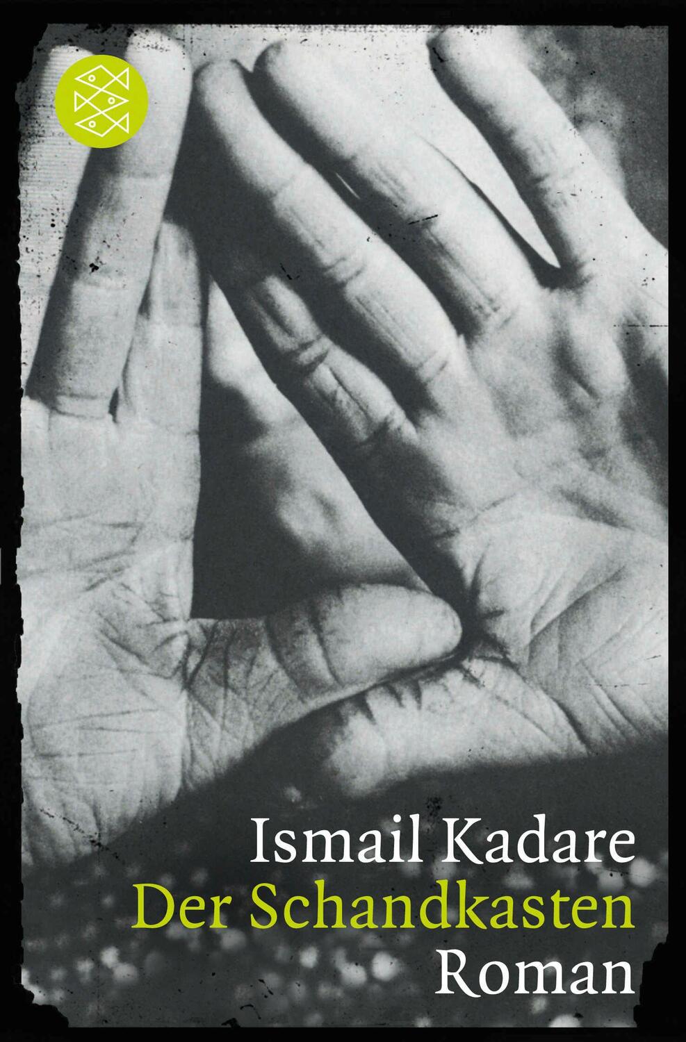 Cover: 9783596191833 | Der Schandkasten | Roman | Ismail Kadare | Taschenbuch | 233 S. | 2014