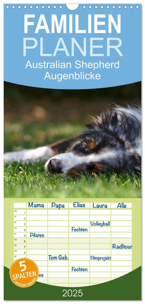 Cover: 9783457111963 | Familienplaner 2025 - Australian Shepherd - Augenblicke mit 5...