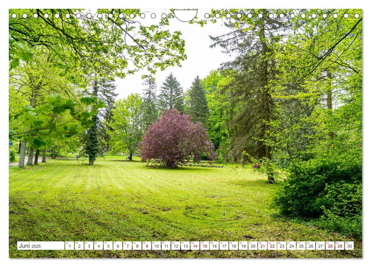 Bild: 9783435056521 | Hansestadt Anklam. Das Tor zur Insel Usedom (Wandkalender 2025 DIN...