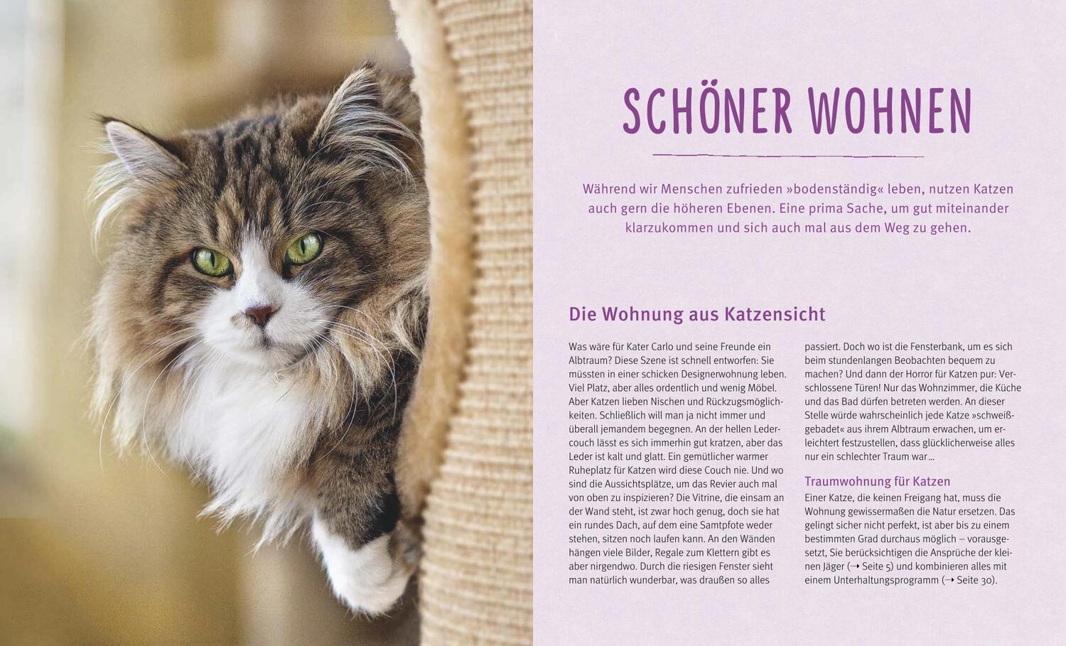 Bild: 9783833836411 | Wohnungskatzen | Wohlfühl-Basics für kleine Tiger | Linke-Grün | Buch