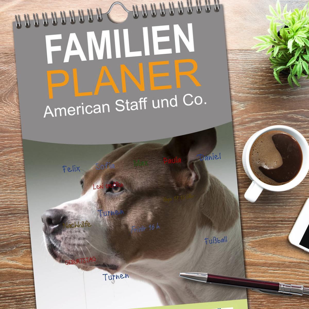 Bild: 9783457111437 | Familienplaner 2025 - American Staff und Co. mit 5 Spalten...