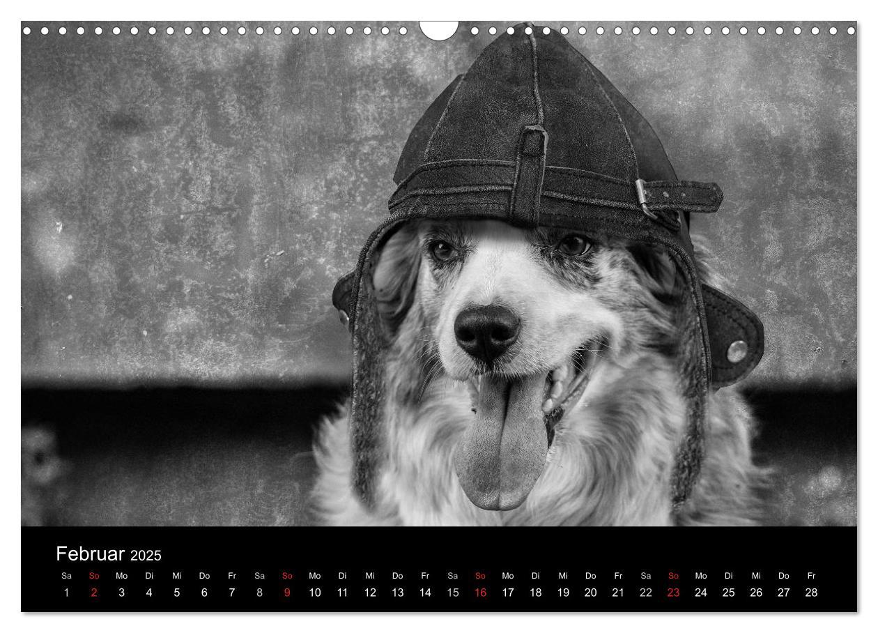 Bild: 9783435781096 | Hütehunde (Wandkalender 2025 DIN A3 quer), CALVENDO Monatskalender