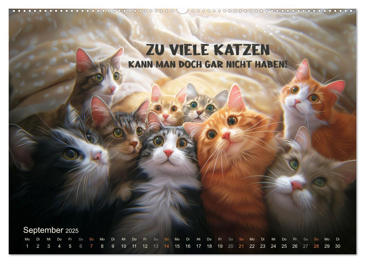 Bild: 9783383780325 | Samtpfotensprüche (Wandkalender 2025 DIN A2 quer), CALVENDO...