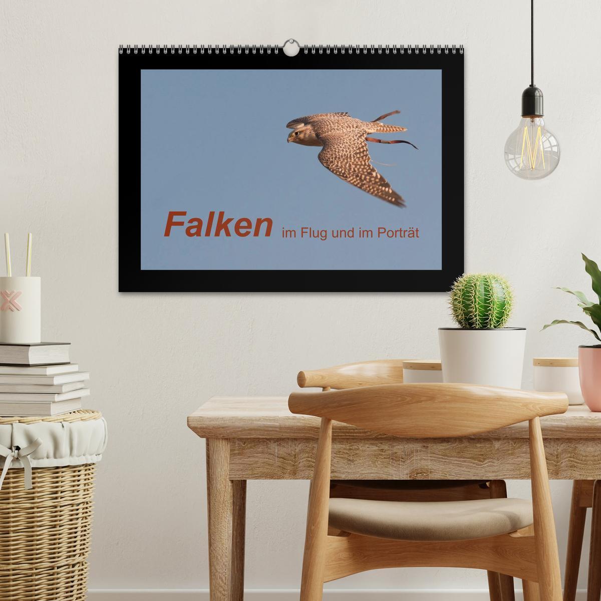 Bild: 9783435695461 | Falken im Flug und im Porträt (Wandkalender 2025 DIN A3 quer),...