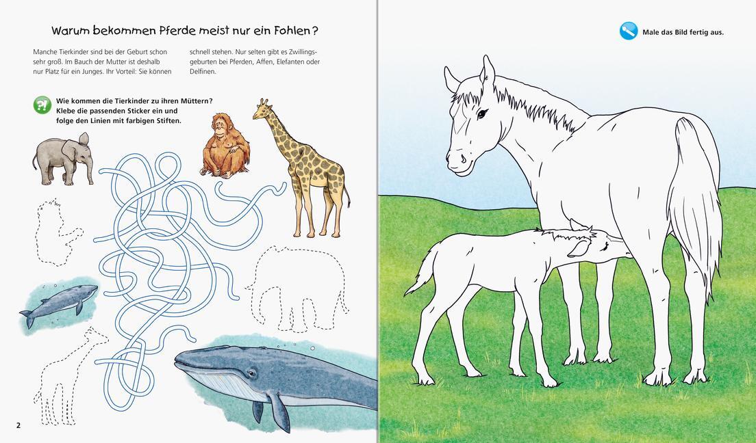 Bild: 9783473326938 | Wieso? Weshalb? Warum? aktiv-Heft: Tierkinder | Stefan Richter | Buch