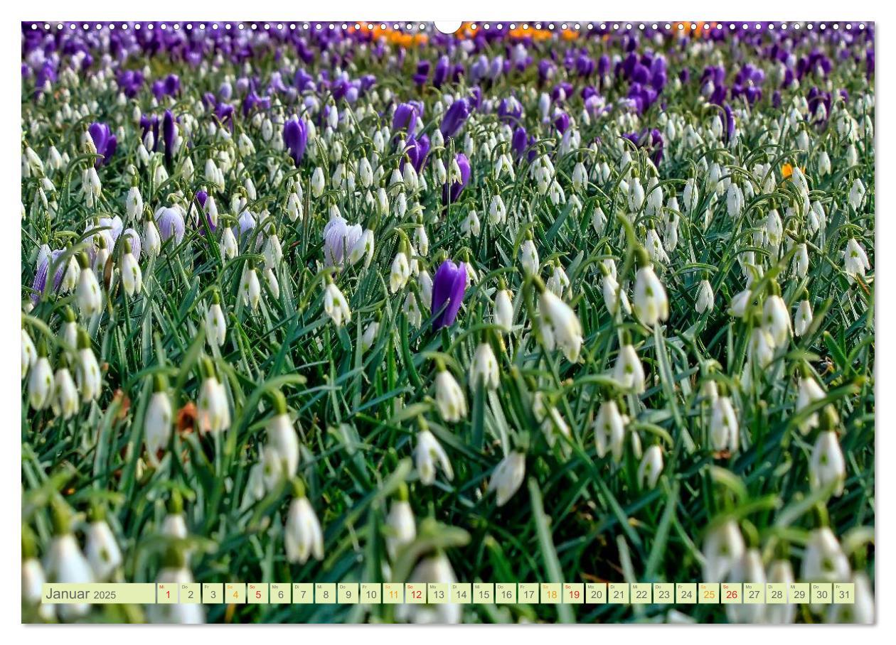 Bild: 9783435473083 | Blumenwiesen ¿ ein blütenzauberhaftes Jahr (Wandkalender 2025 DIN...