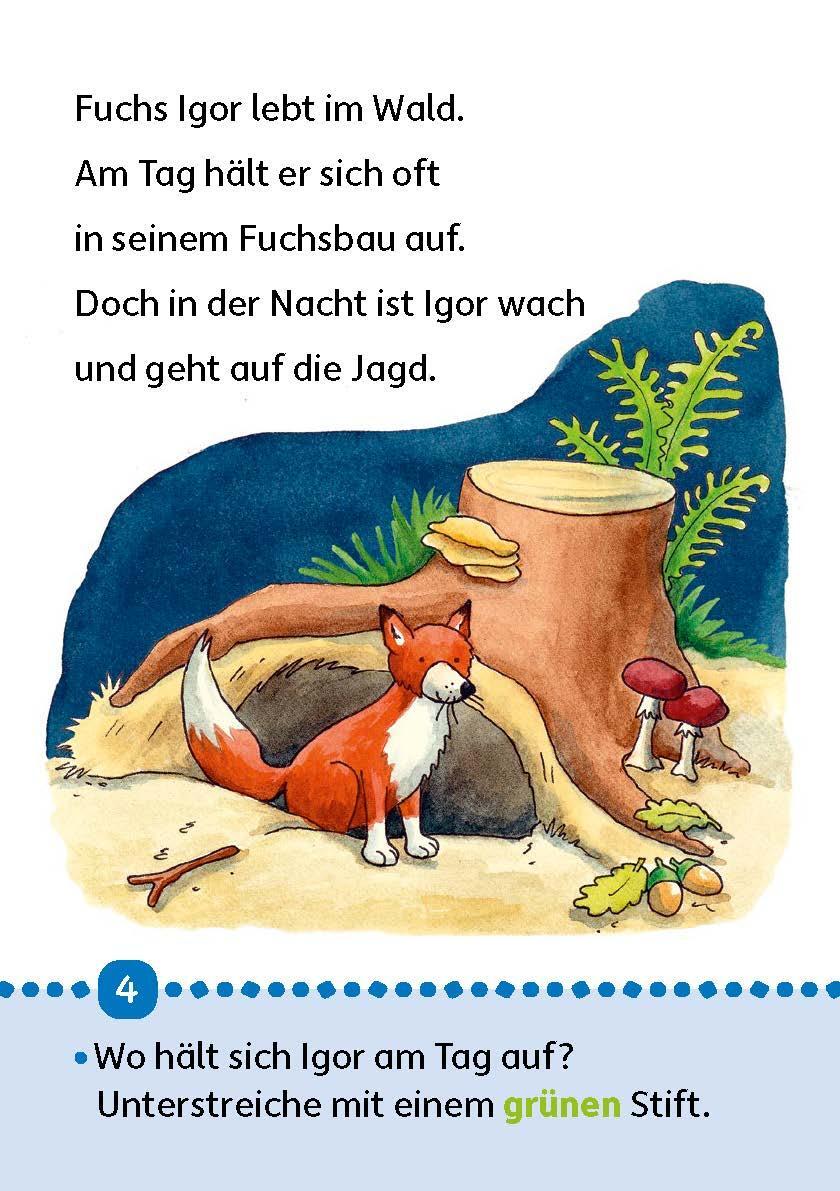 Bild: 9783881005036 | Lesen lernen 1. Klasse für Jungen und Mädchen - Tiergeschichten | Buch