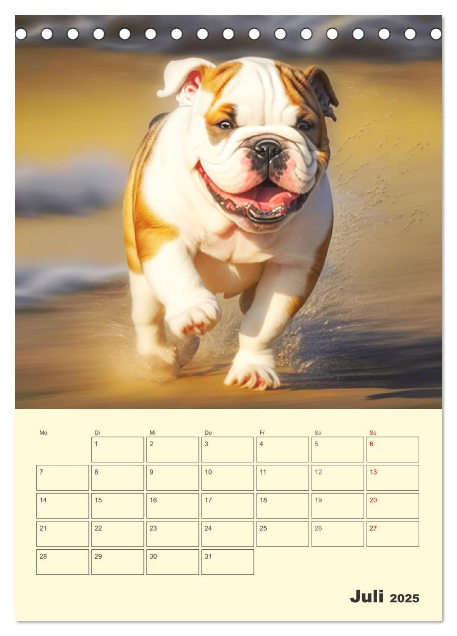 Bild: 9783435876600 | English Bulldogs. Fröhliche Dickköpfe mit Charakter (Tischkalender...