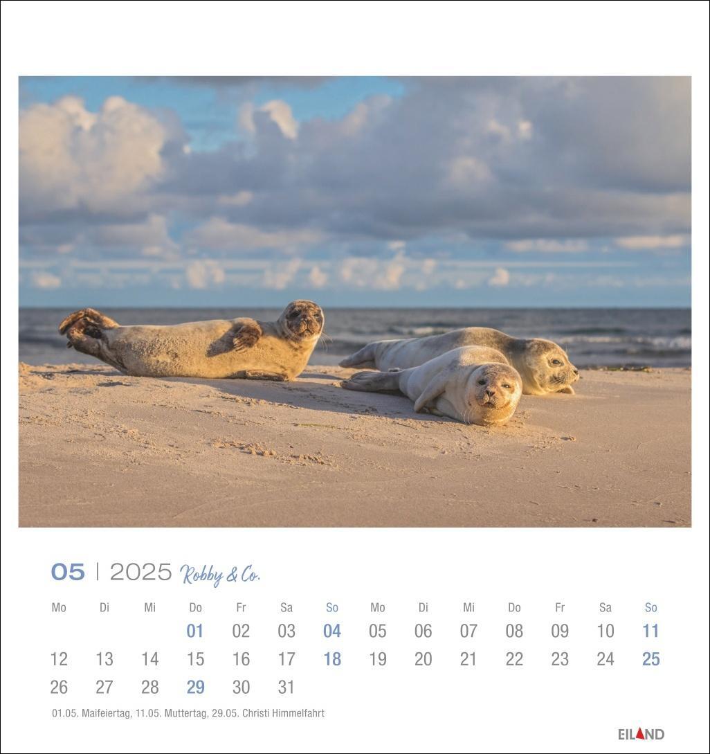 Bild: 9783964023322 | Robby &amp; Co. Postkartenkalender 2025 | Kalender | Spiralbindung | 13 S.