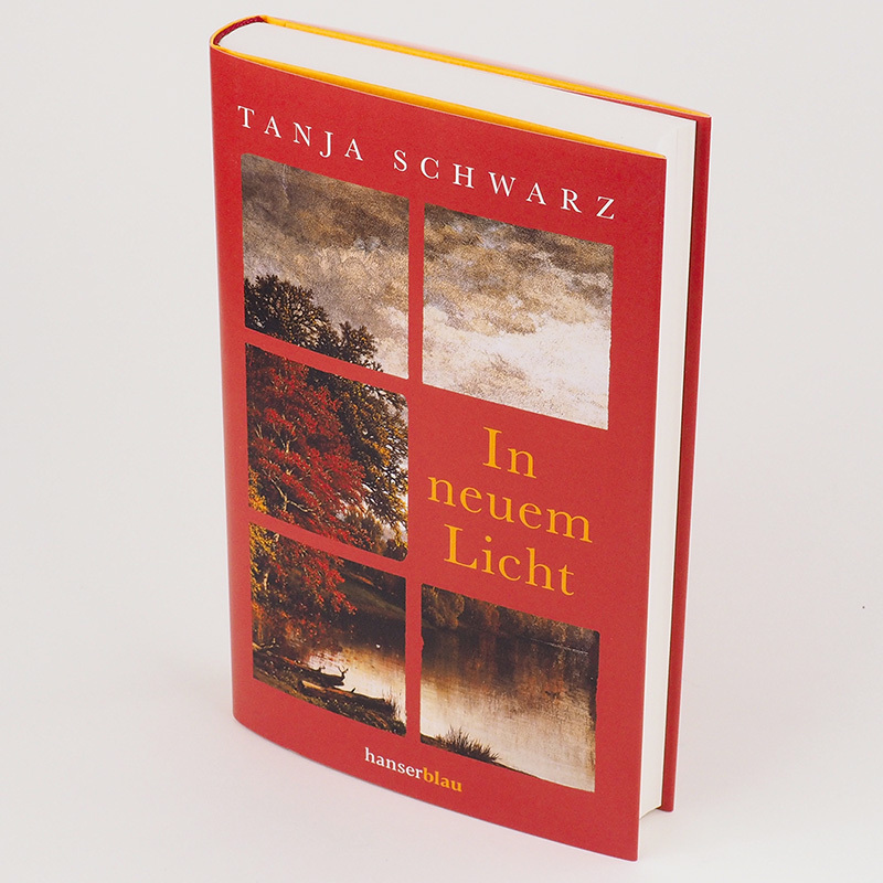 Bild: 9783446271135 | In neuem Licht | Tanja Schwarz | Buch | 272 S. | Deutsch | 2021