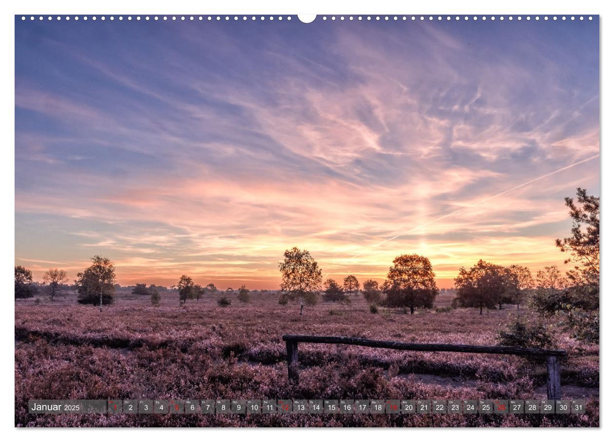 Bild: 9783383852541 | Die Lüneburger Heide - In voller Blüte (Wandkalender 2025 DIN A2...