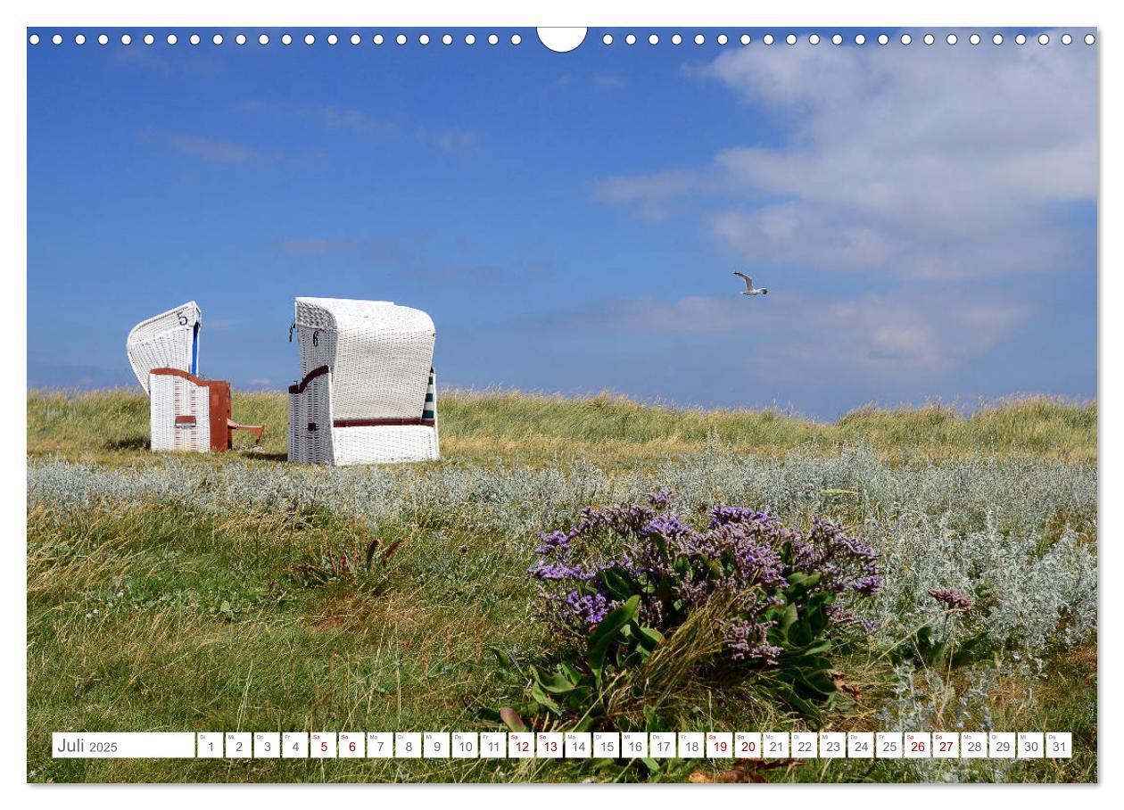 Bild: 9783435256853 | Sommertage auf Hallig Hooge (Wandkalender 2025 DIN A3 quer),...