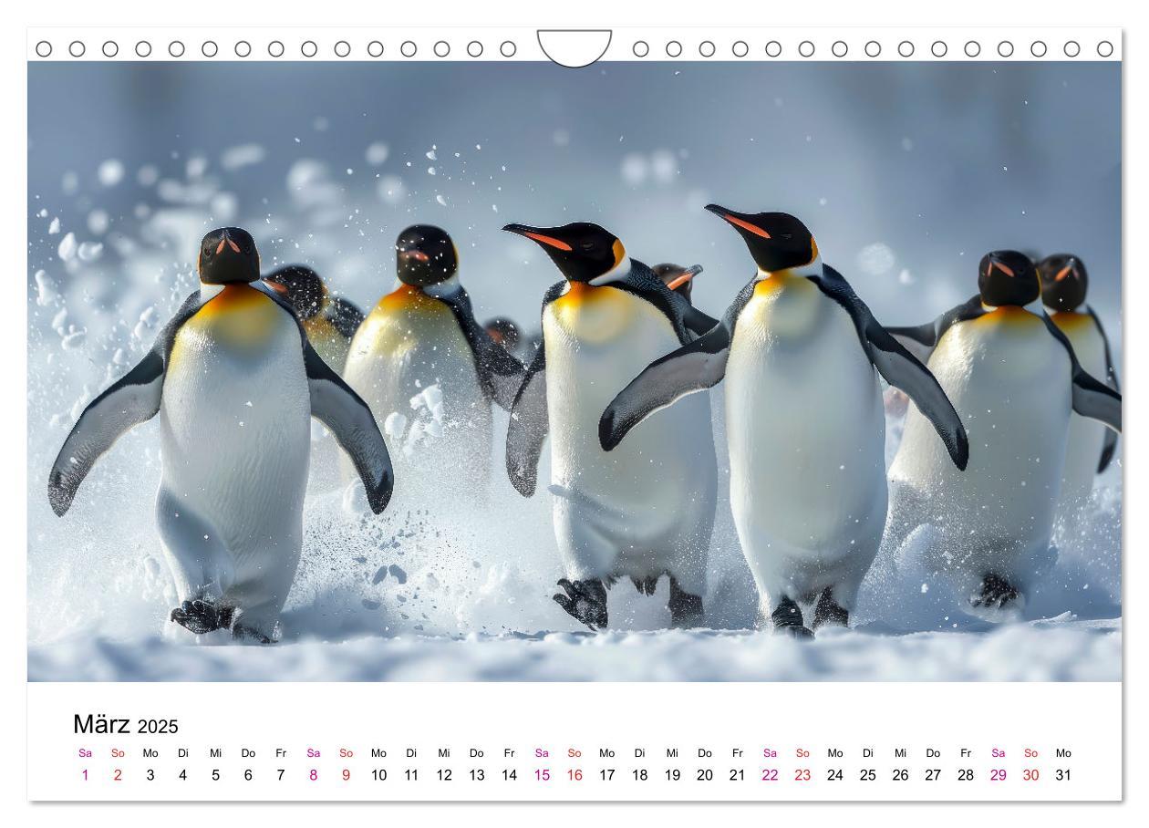 Bild: 9783457164389 | Maritim pur - Pinguine (Wandkalender 2025 DIN A4 quer), CALVENDO...