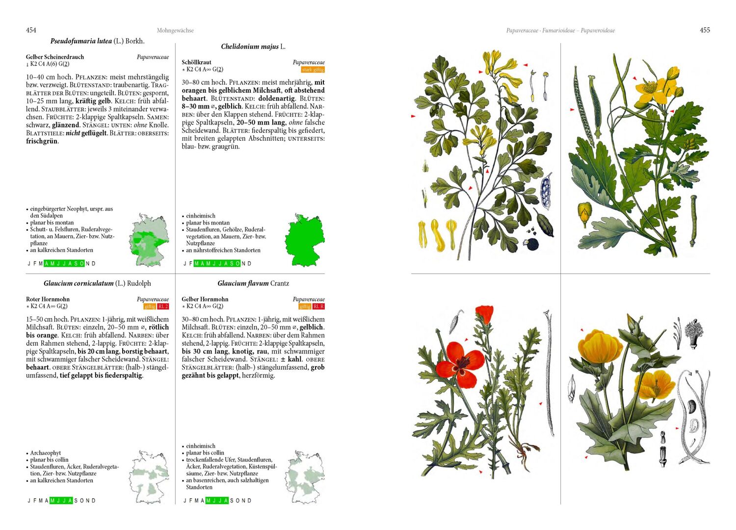 Bild: 9783968490649 | Die Flora von Deutschland. Alle heimischen Arten | Oliver Tackenberg