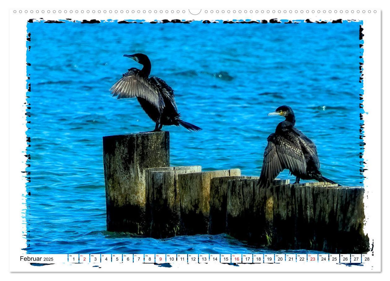 Bild: 9783383812866 | Zingst Sehnsucht nach Meer (Wandkalender 2025 DIN A2 quer),...