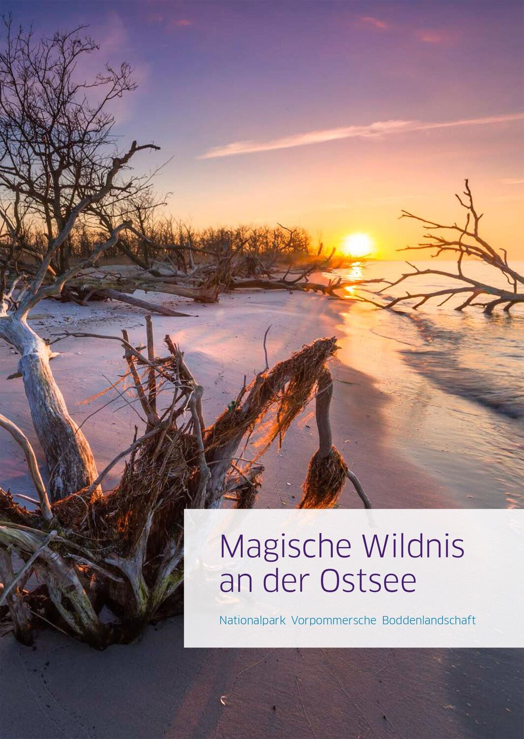 Cover: 9783356019858 | Magische Wildnis an der Ostsee | Jan Baginski | Buch | 112 S. | 2015