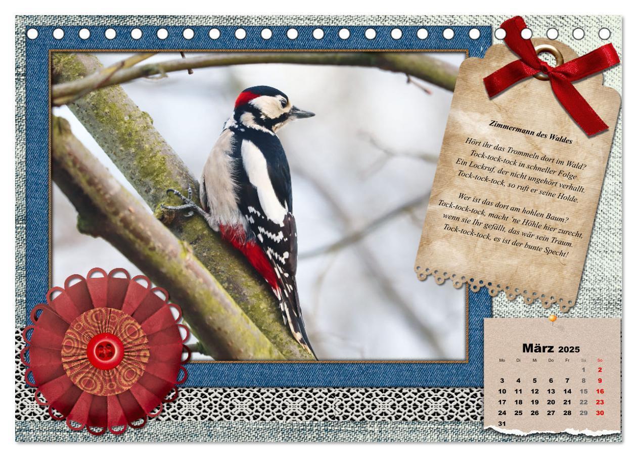 Bild: 9783435081905 | Der poetische Vogelkalender (Tischkalender 2025 DIN A5 quer),...