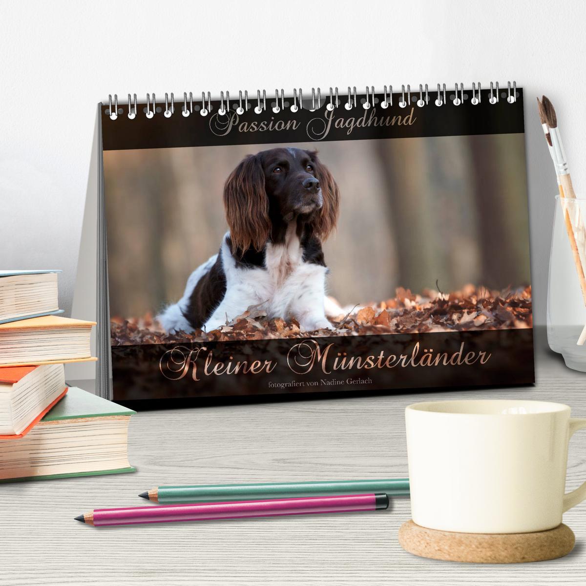 Bild: 9783435268429 | Passion Jagdhund - Kleiner Münsterländer (Tischkalender 2025 DIN A5...