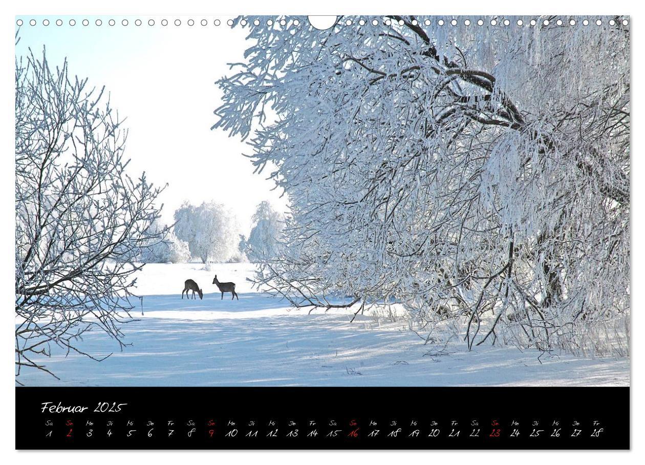 Bild: 9783435778843 | RHÖN = SCHÖN (Wandkalender 2025 DIN A3 quer), CALVENDO Monatskalender