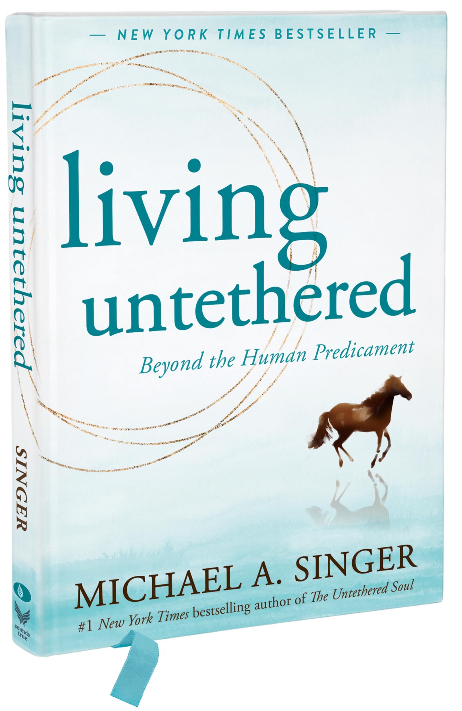 Cover: 9781648485404 | Living Untethered | Beyond the Human Predicament | Michael A Singer