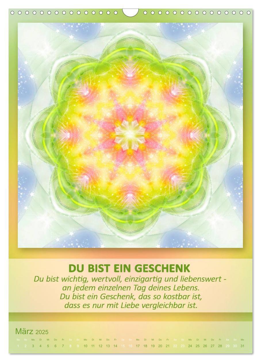 Bild: 9783457086209 | Light Energy Mandalas - Kalender - Vol. 1 (Wandkalender 2025 DIN A3...